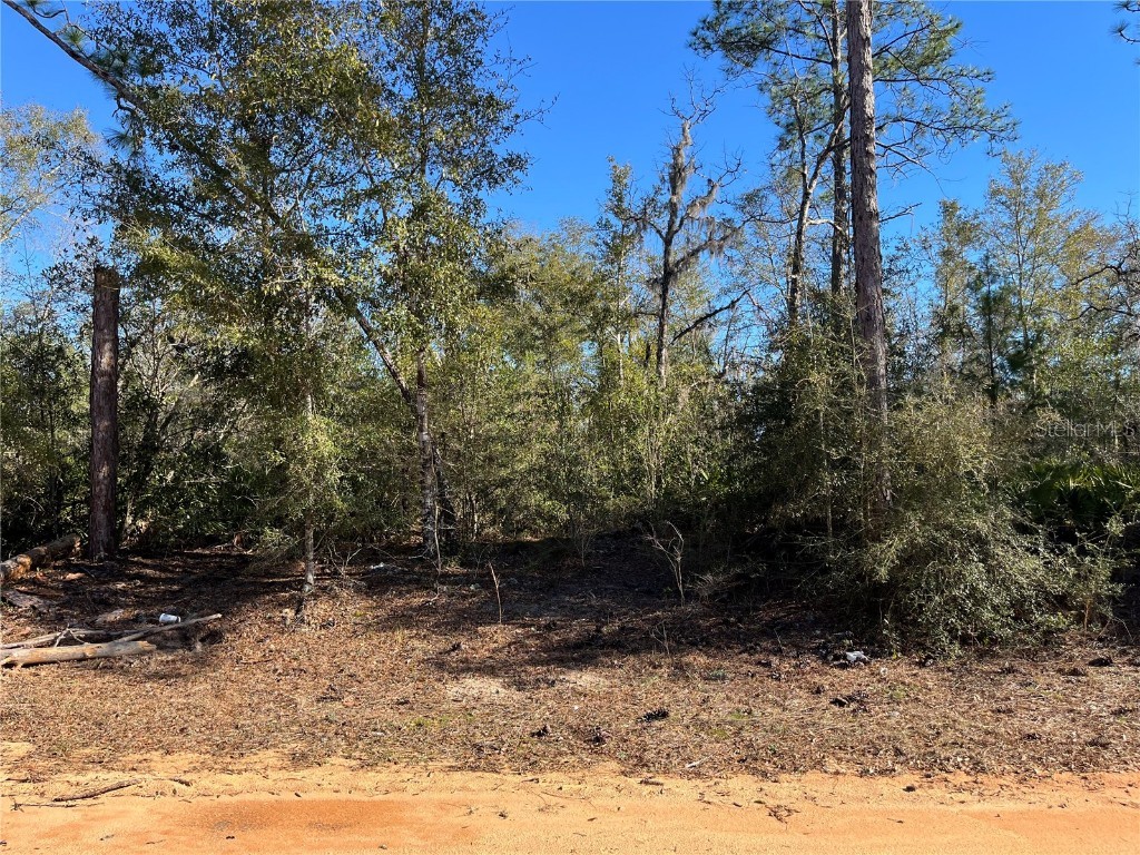 Bienville Court Alford FL 32420 OK223760 image1