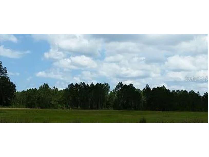 Big John Dr Deland FL 32724 O6230403 image2