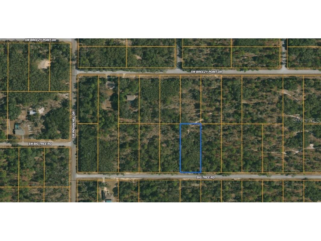 Big Tree Road Dunnellon FL 34430 U8240617 image1