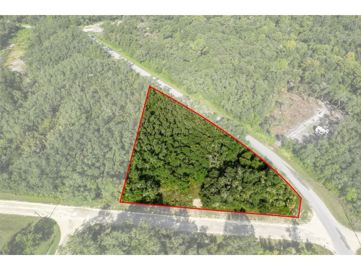 Bigelow Avenue Webster FL 33597 W7878052 image1