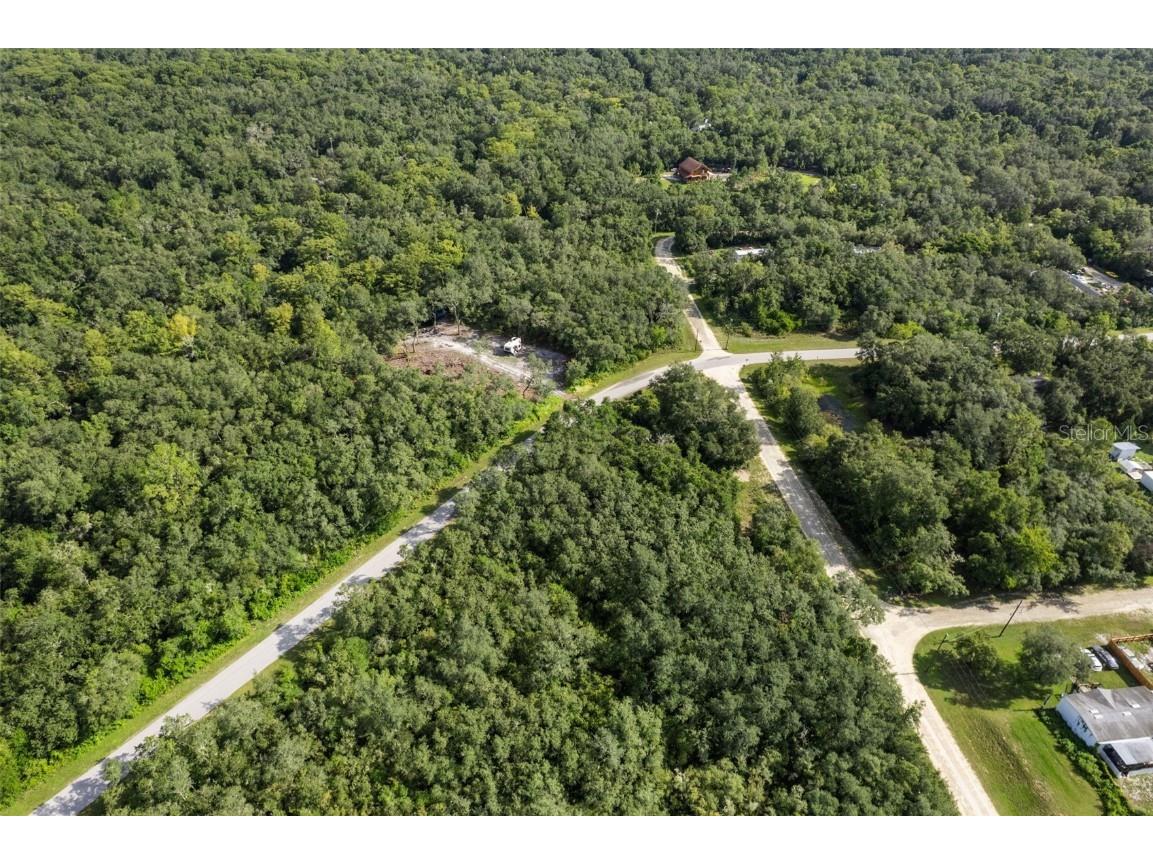 Bigelow Avenue Webster FL 33597 W7878052 image11