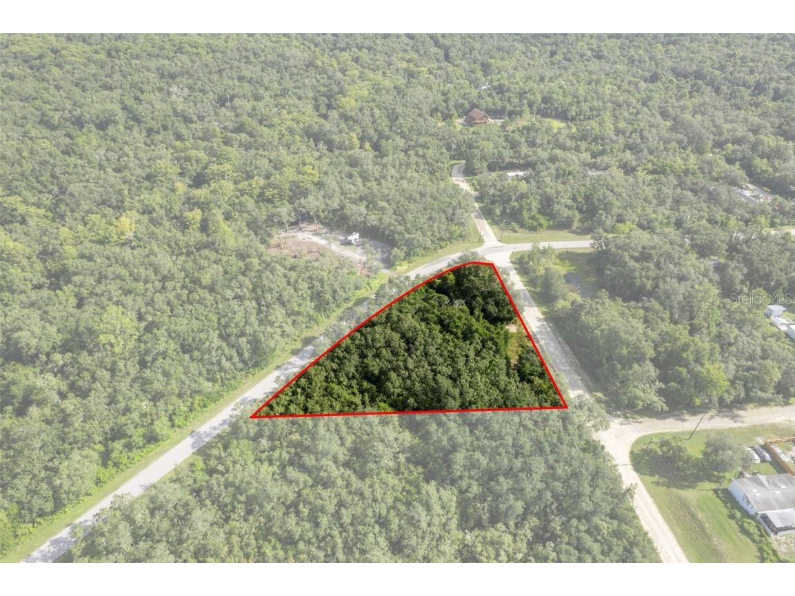 Bigelow Avenue Webster FL 33597 W7878052 image12