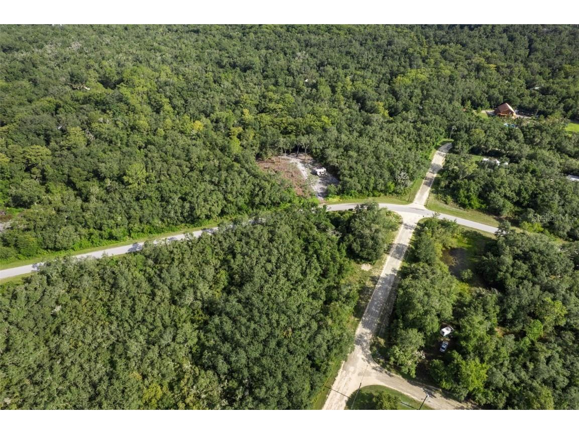 Bigelow Avenue Webster FL 33597 W7878052 image13