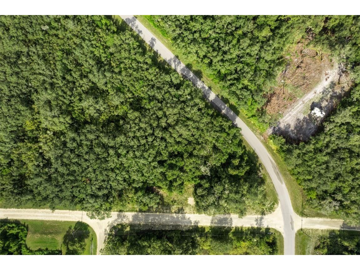 Bigelow Avenue Webster FL 33597 W7878052 image14