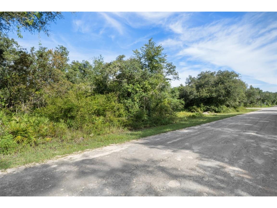 Bigelow Avenue Webster FL 33597 W7878052 image15