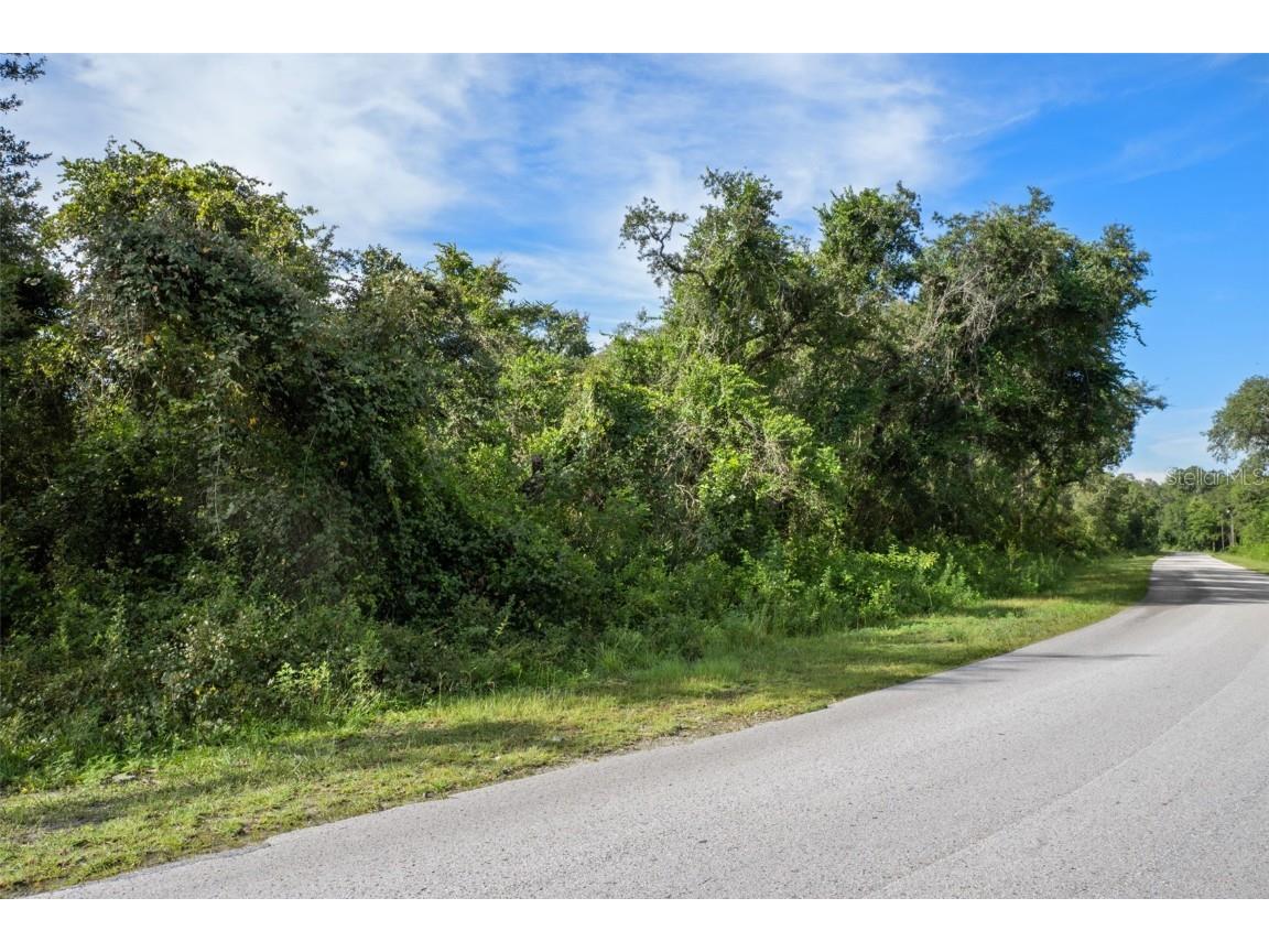 Bigelow Avenue Webster FL 33597 W7878052 image18