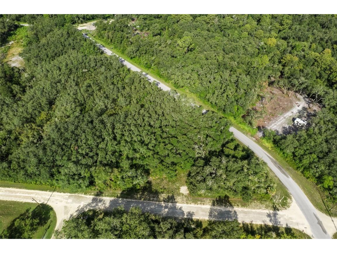 Bigelow Avenue Webster FL 33597 W7878052 image2