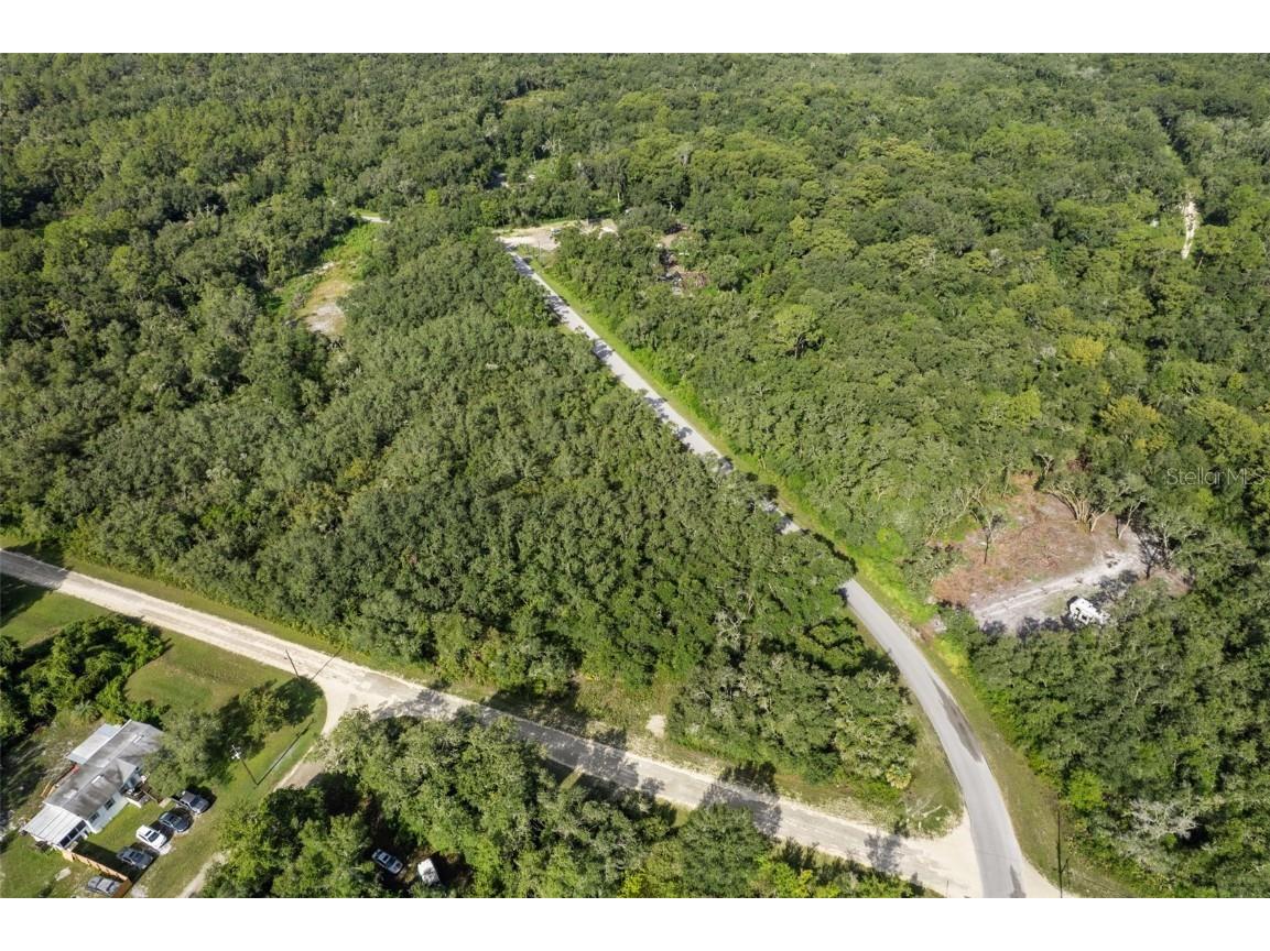 Bigelow Avenue Webster FL 33597 W7878052 image3