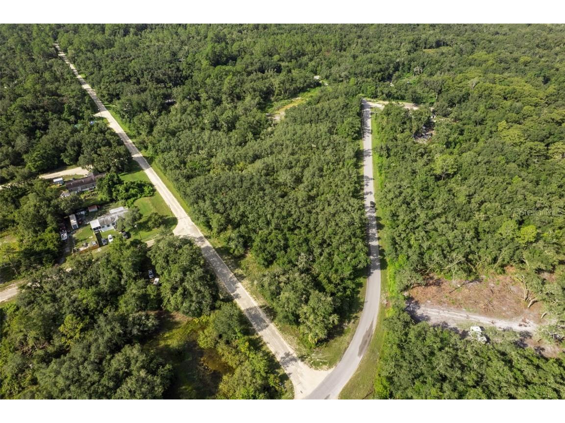 Bigelow Avenue Webster FL 33597 W7878052 image4