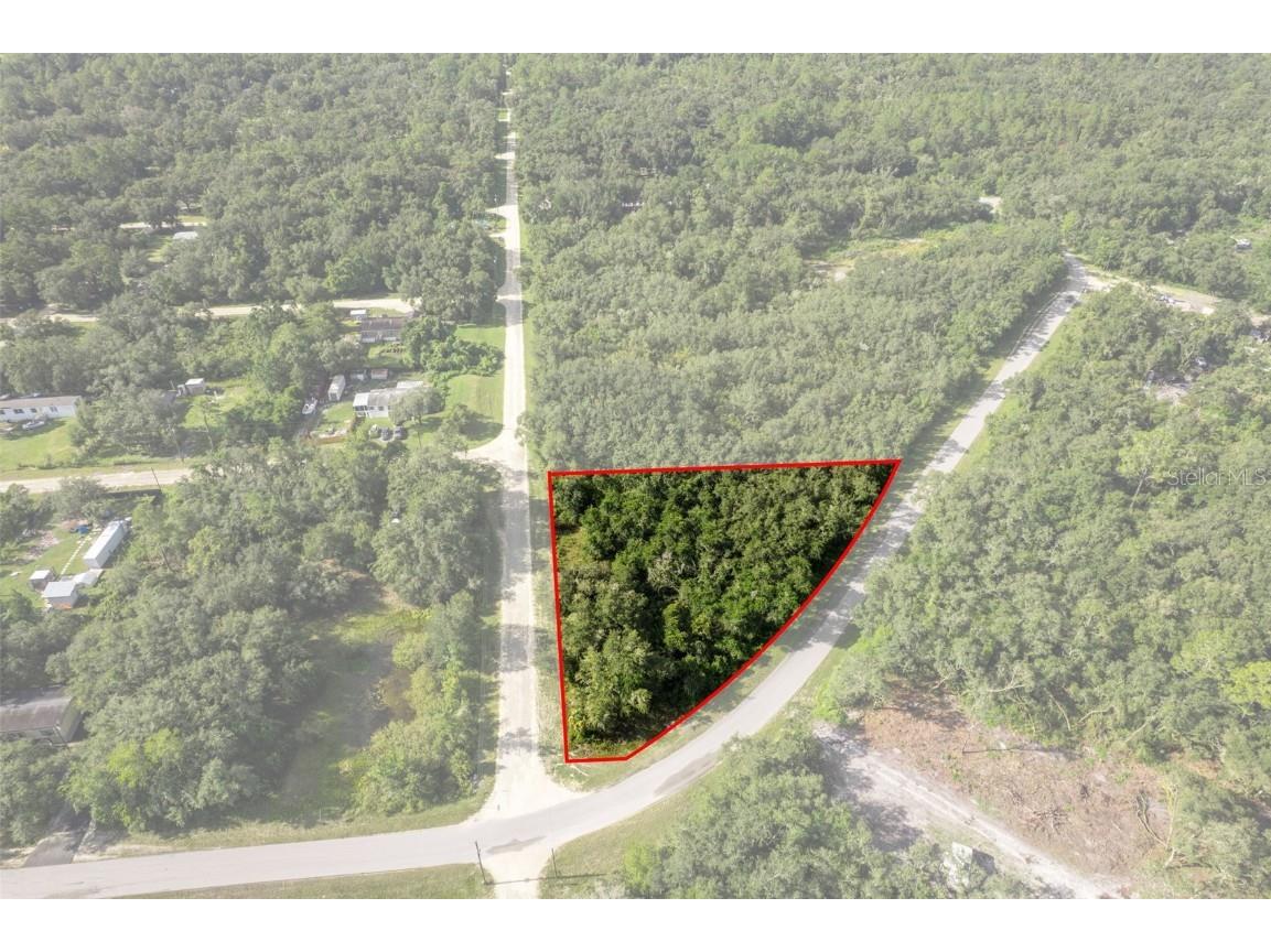 Bigelow Avenue Webster FL 33597 W7878052 image6