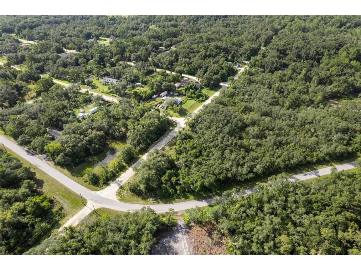 Bigelow Avenue Webster FL 33597 W7878052 image7