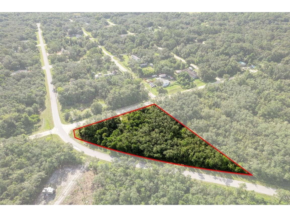 Bigelow Avenue Webster FL 33597 W7878052 image9