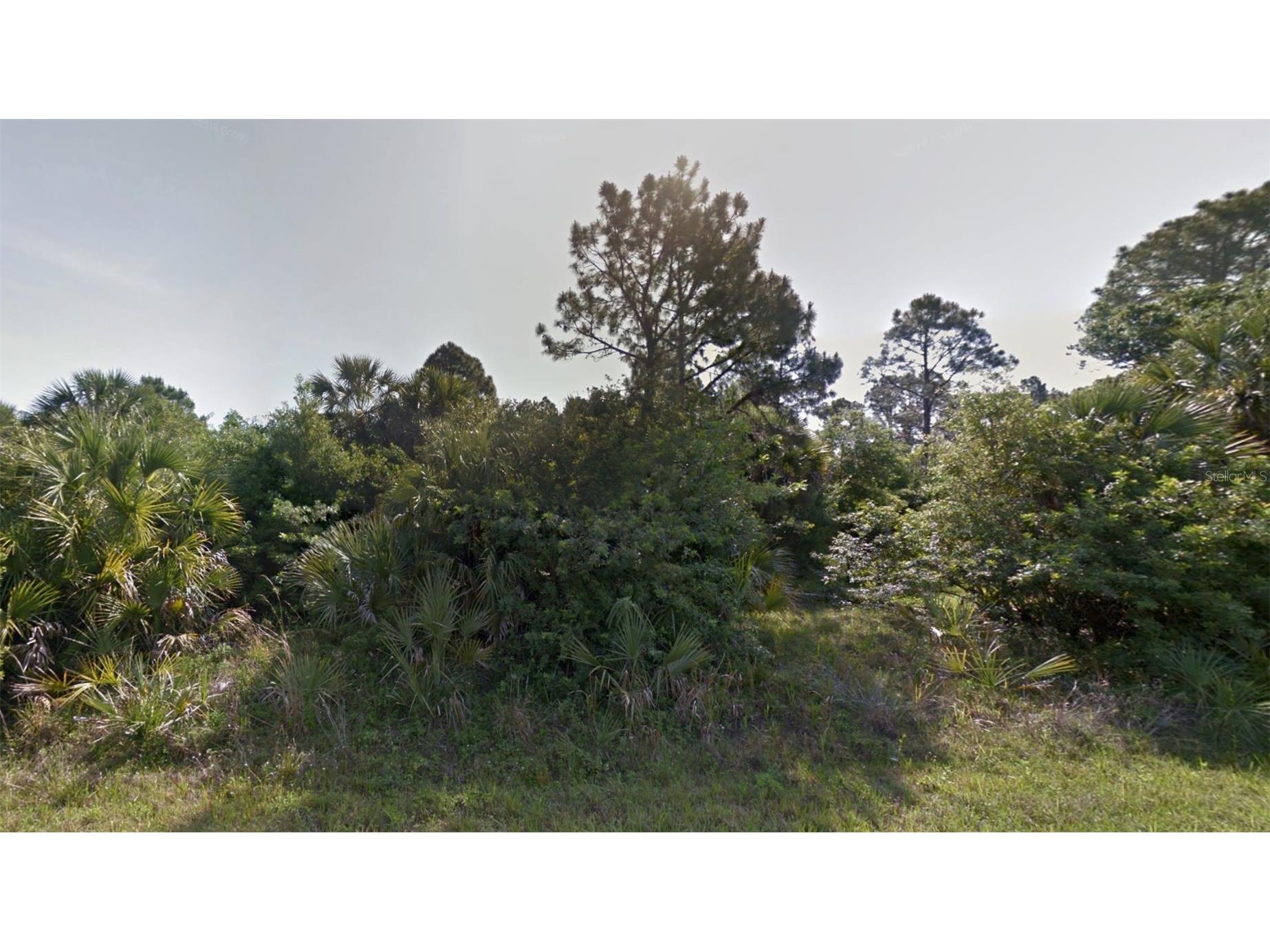 Bigflower Avenue North Port FL 34288 C7525928 image1
