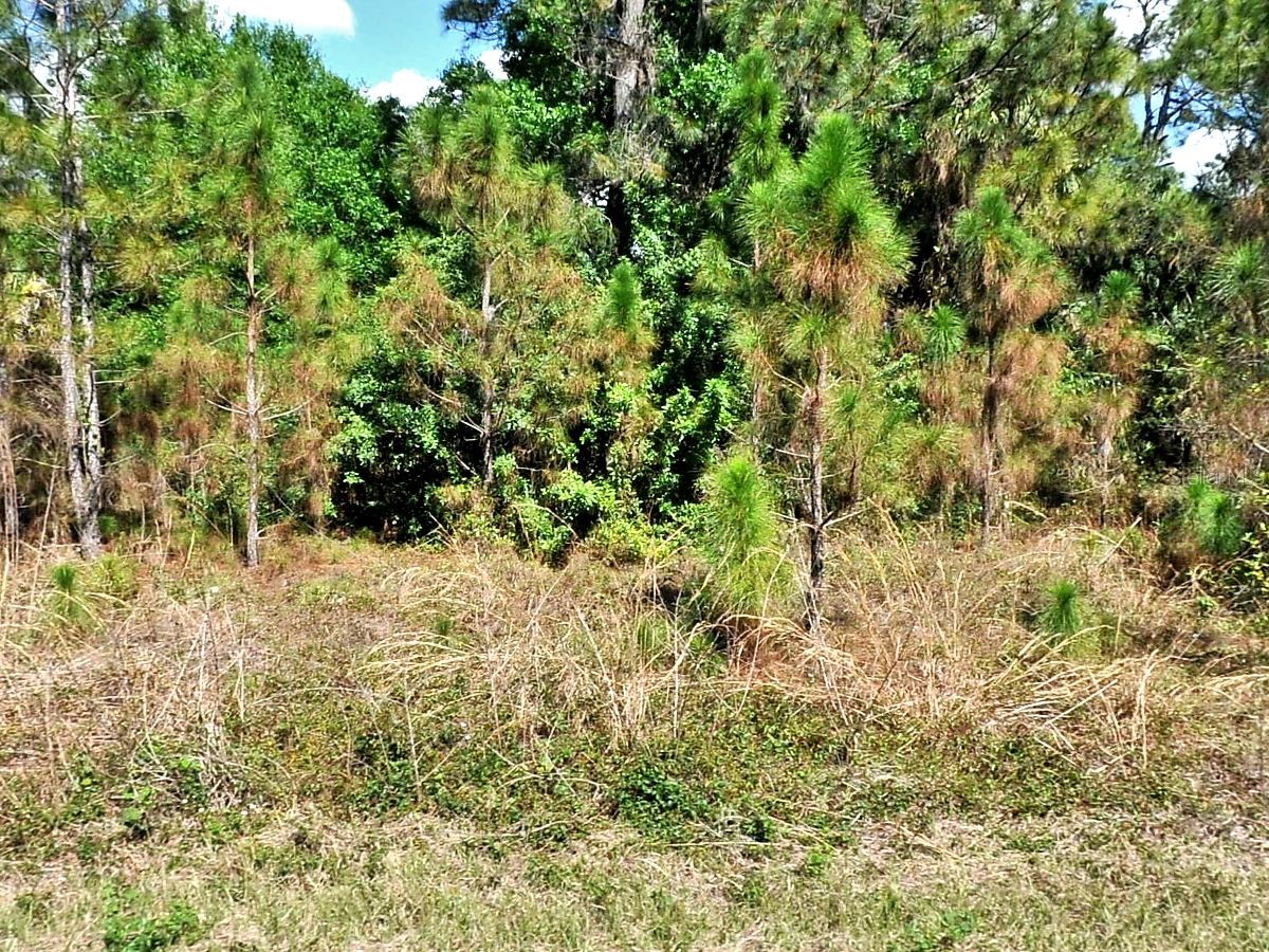 Bignay Road North Port FL 34288 A4677952 image1