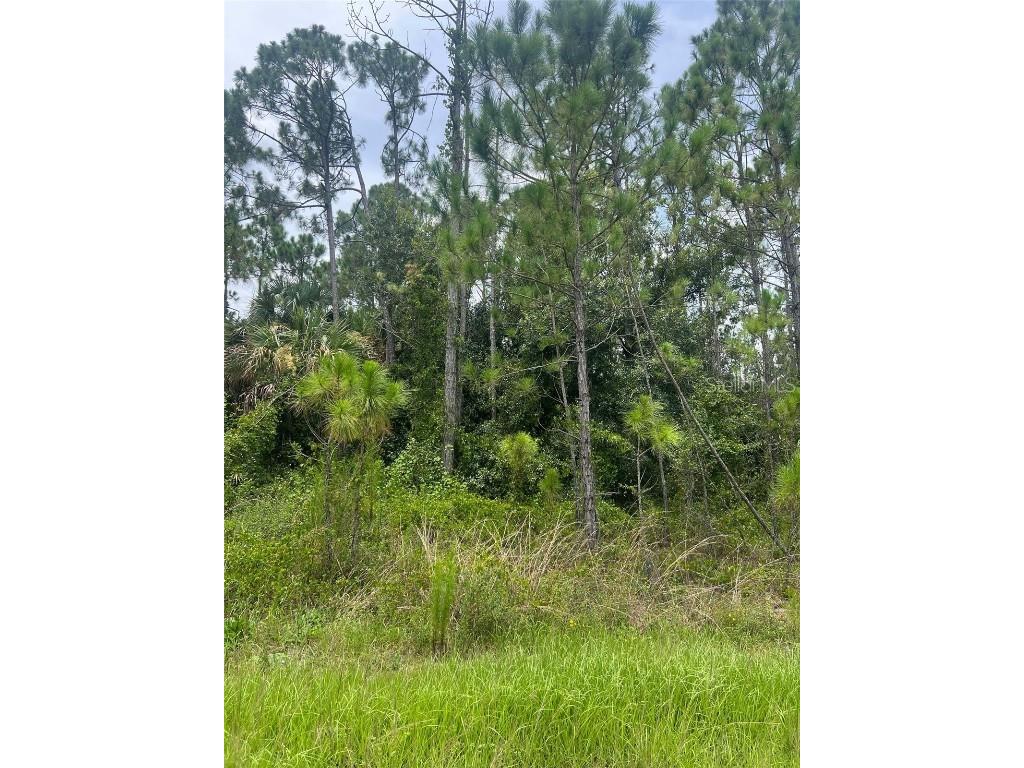 Bignay Road North Port FL 34288 N6134075 image1