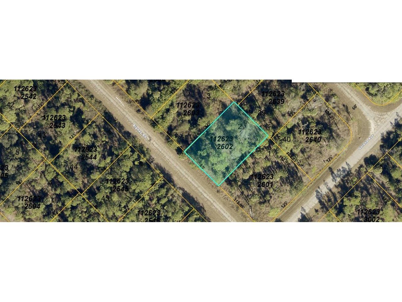 Bignay Road North Port FL 34288 O6416306 image2