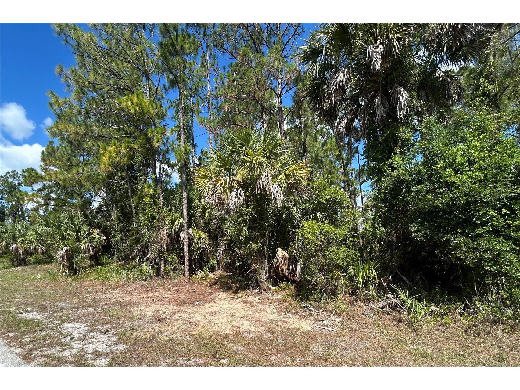 Billberry Street North Port FL 34288 - NEW LONDON WATERWAY C7527997 image3