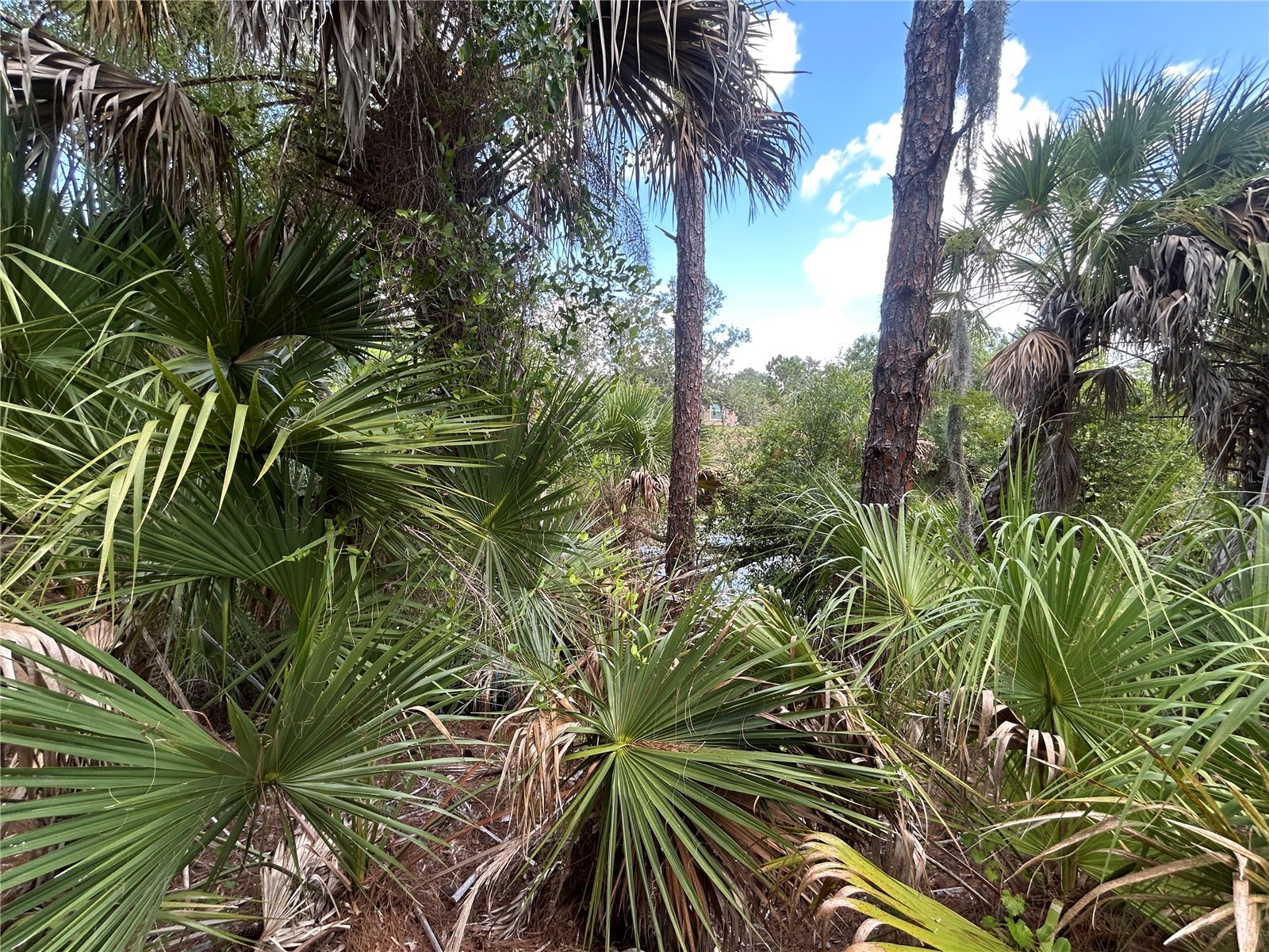 Billberry Street North Port FL 34288 - NEW LONDON WATERWAY C7527997 image4