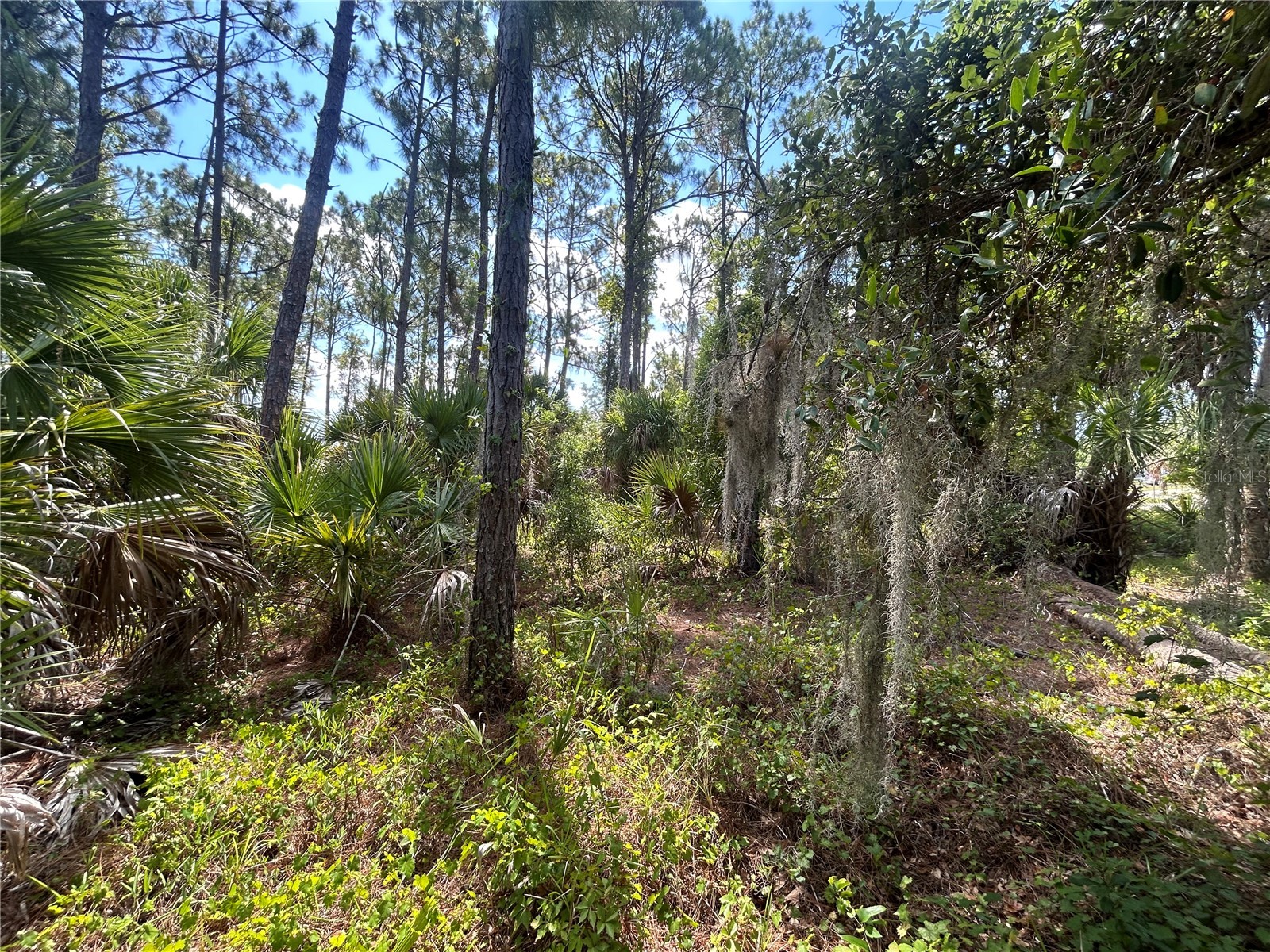 Billberry Street North Port FL 34288 - NEW LONDON WATERWAY C7527997 image5