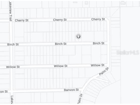 Birch Street Interlachen FL 32148 OM657488 image3