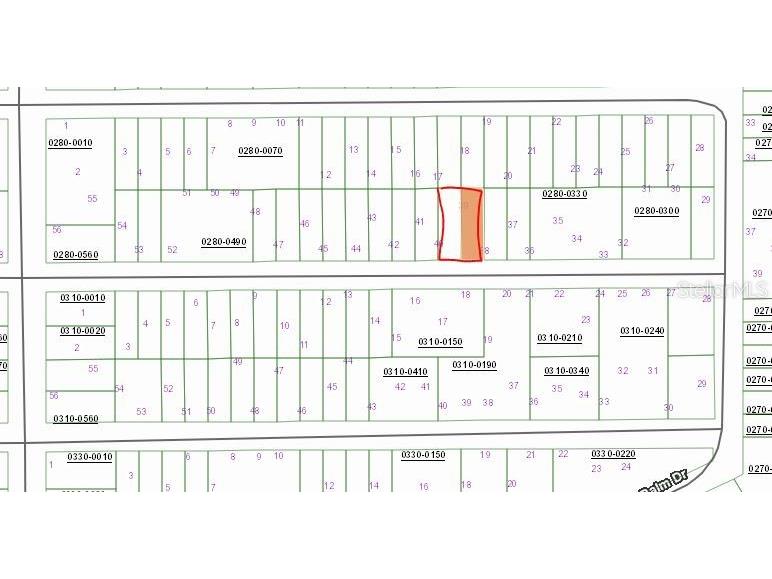 00 Birch Street Interlachen FL 32148 OM657490 image1