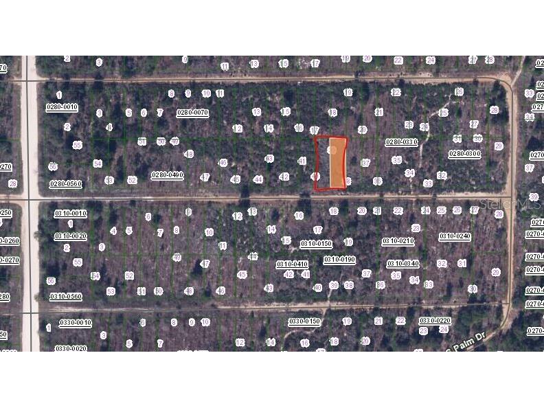 00 Birch Street Interlachen FL 32148 OM657490 image2