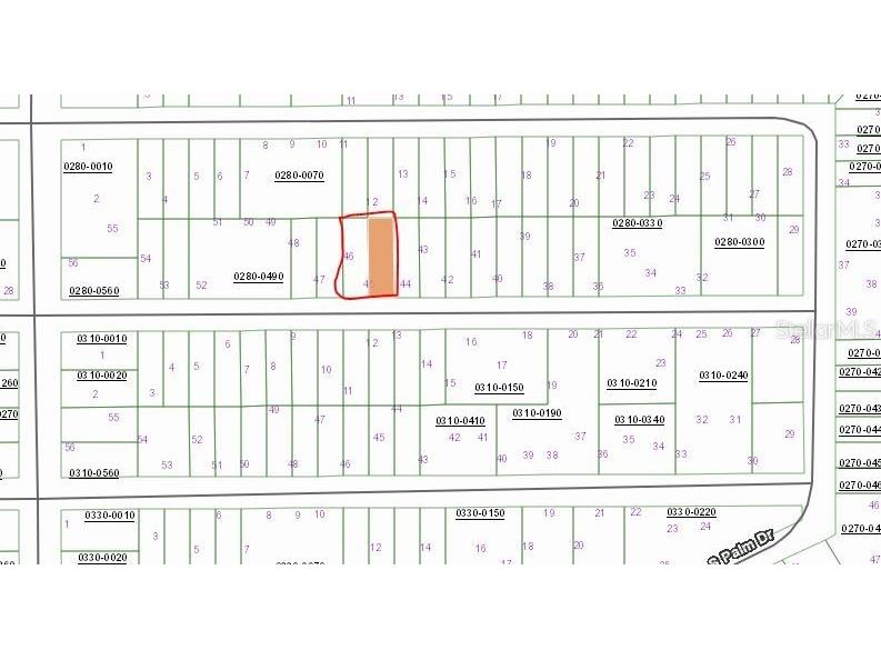 Birch Street Interlachen FL 32148 OM657494 image1