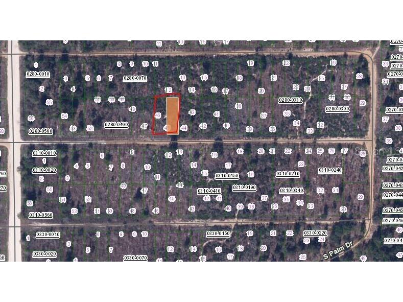 Birch Street Interlachen FL 32148 OM657494 image2