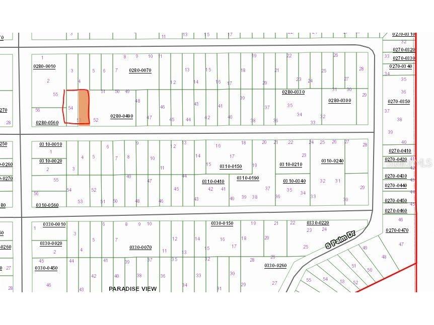 Birch Street Interlachen FL 32148 OM657573 image1