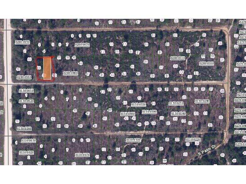 Birch Street Interlachen FL 32148 OM657573 image2