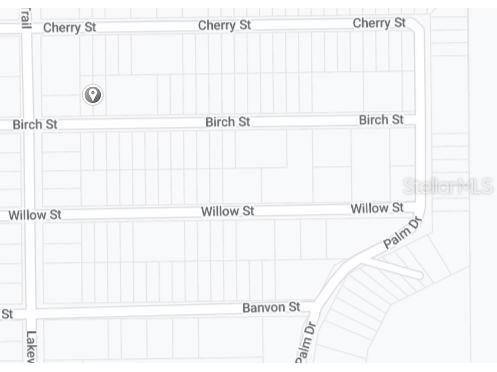 Birch Street Interlachen FL 32148 OM657573 image3