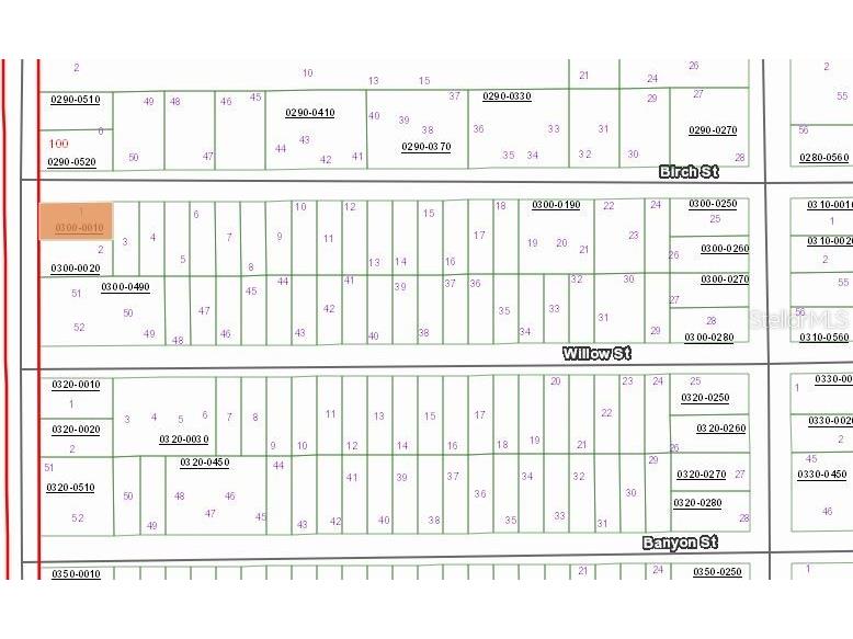 00 Birch Street Interlachen FL 32148 OM657574 image1