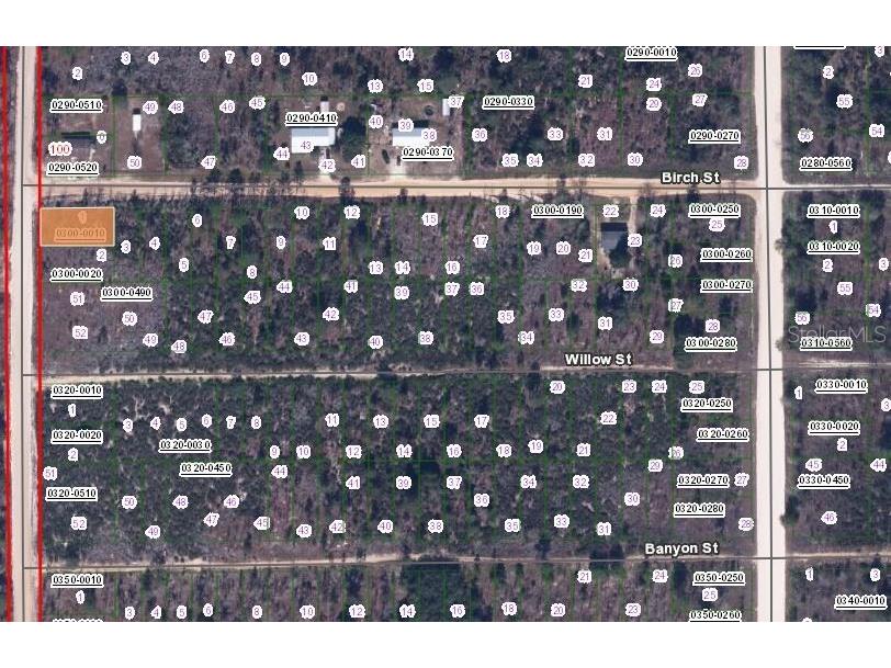 00 Birch Street Interlachen FL 32148 OM657574 image2