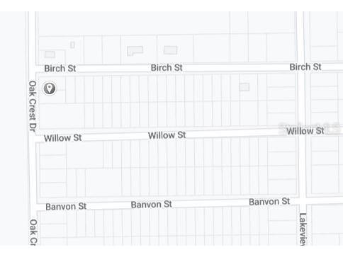 00 Birch Street Interlachen FL 32148 OM657574 image3