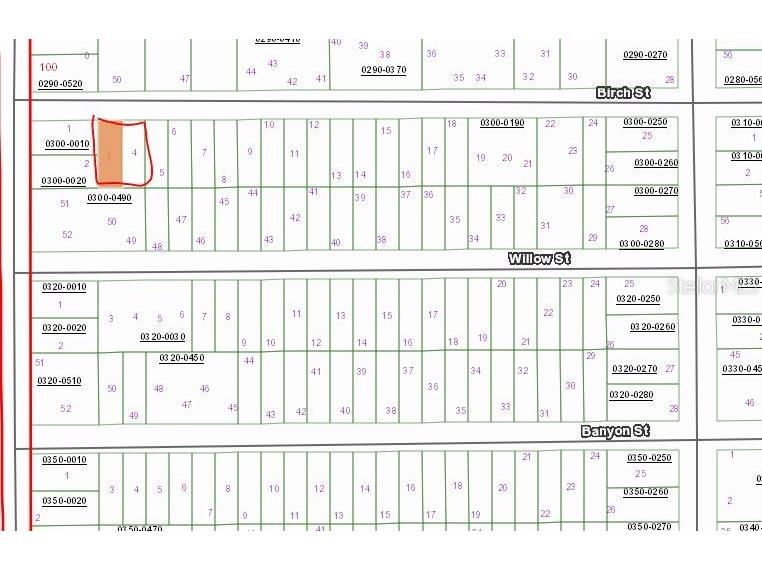 00 Birch Street Interlachen FL 32148 OM657575 image1