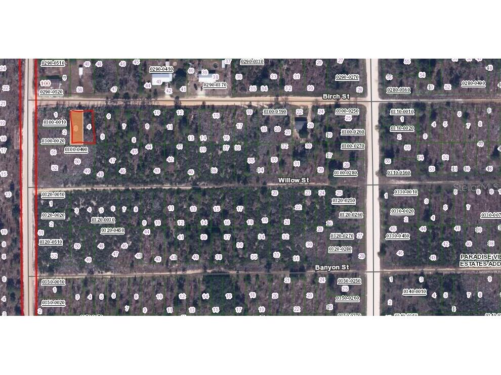 00 Birch Street Interlachen FL 32148 OM657575 image2