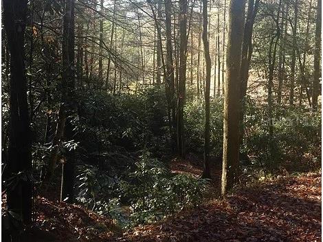 Bismarck Road North Port FL 34288 O6122373 image1