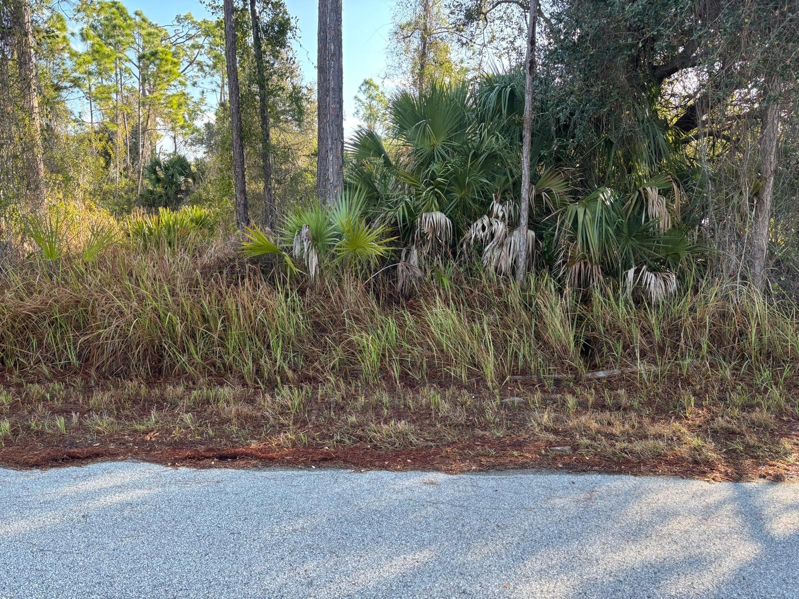 Bismarck Road North Port FL 34288 C7522708 image1