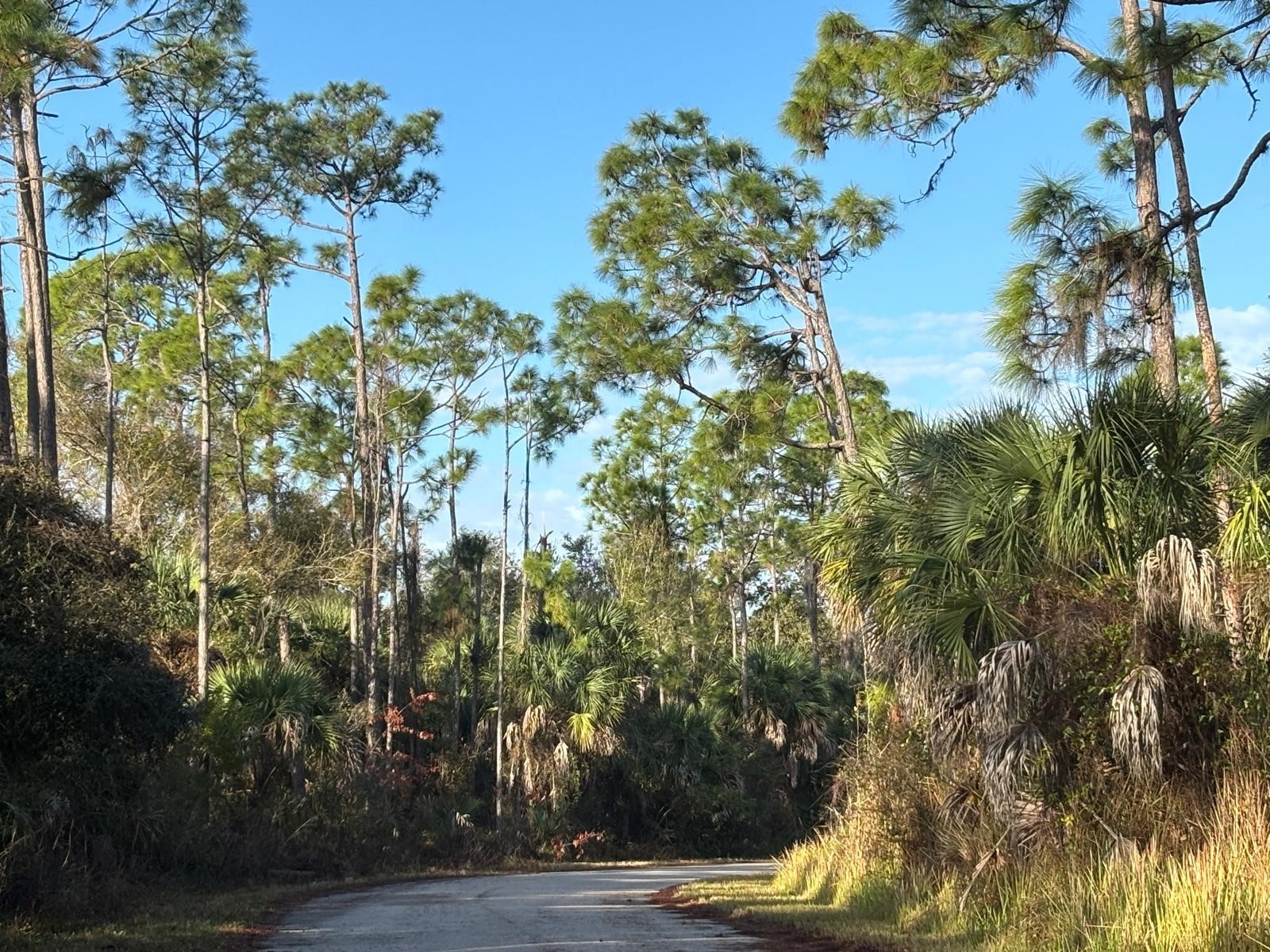 Bismarck Road North Port FL 34288 C7522708 image10