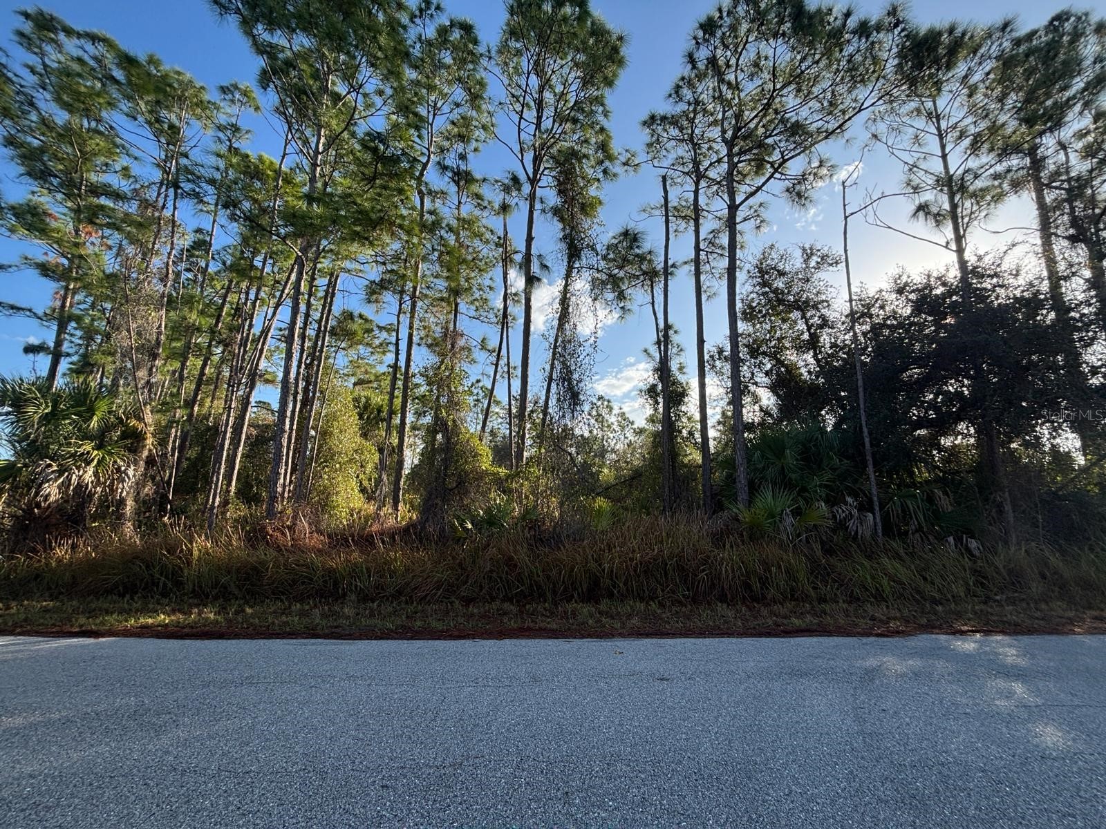 Bismarck Road North Port FL 34288 C7522708 image11