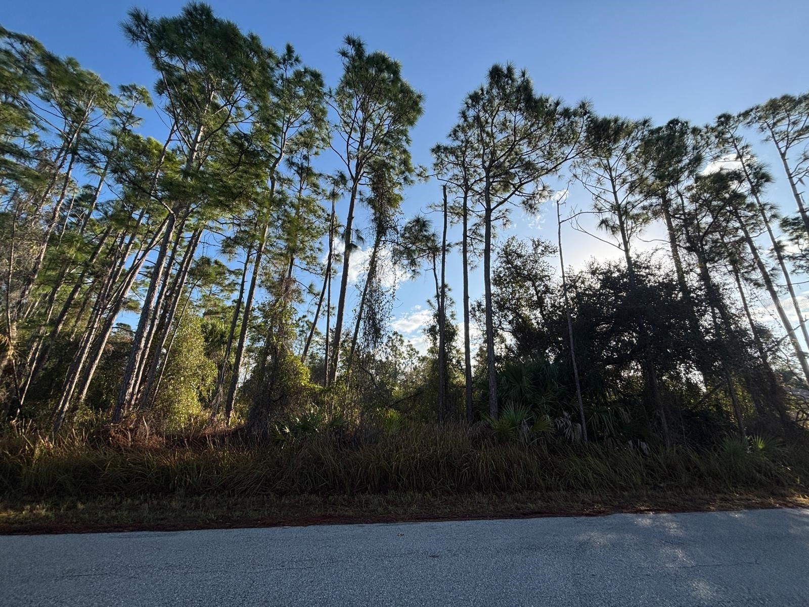 Bismarck Road North Port FL 34288 C7522708 image12