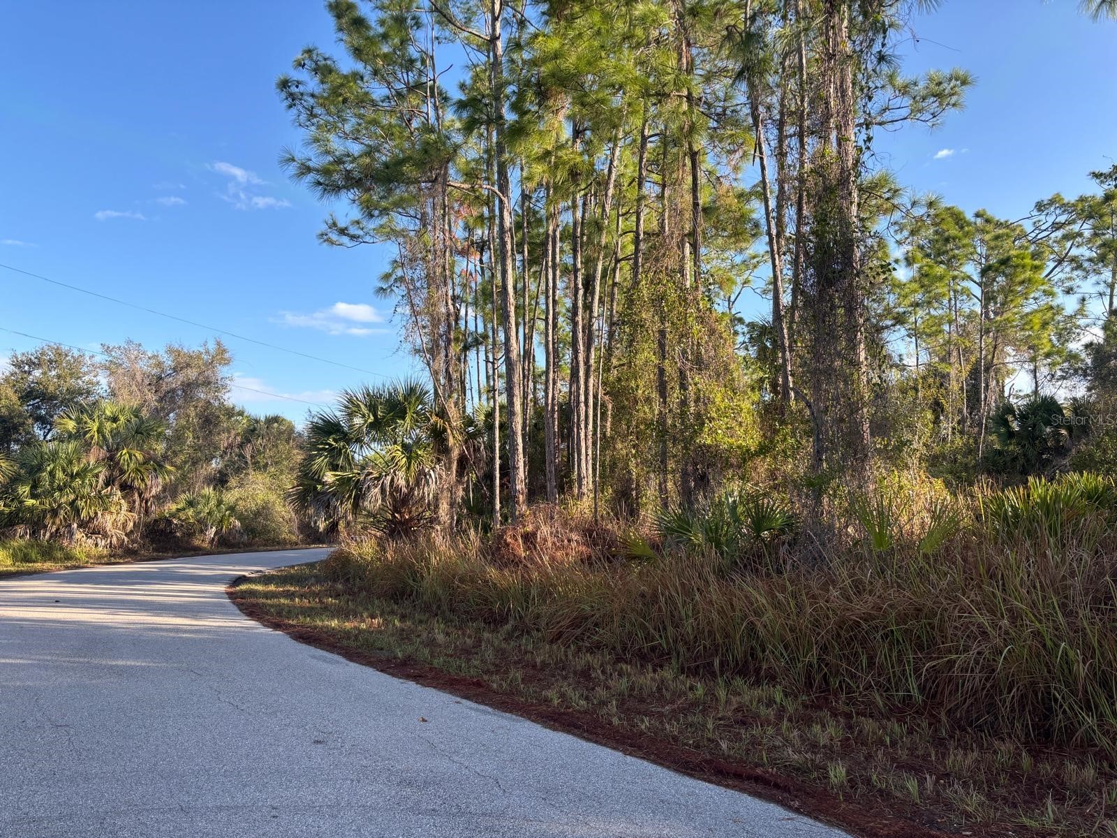 Bismarck Road North Port FL 34288 C7522708 image3