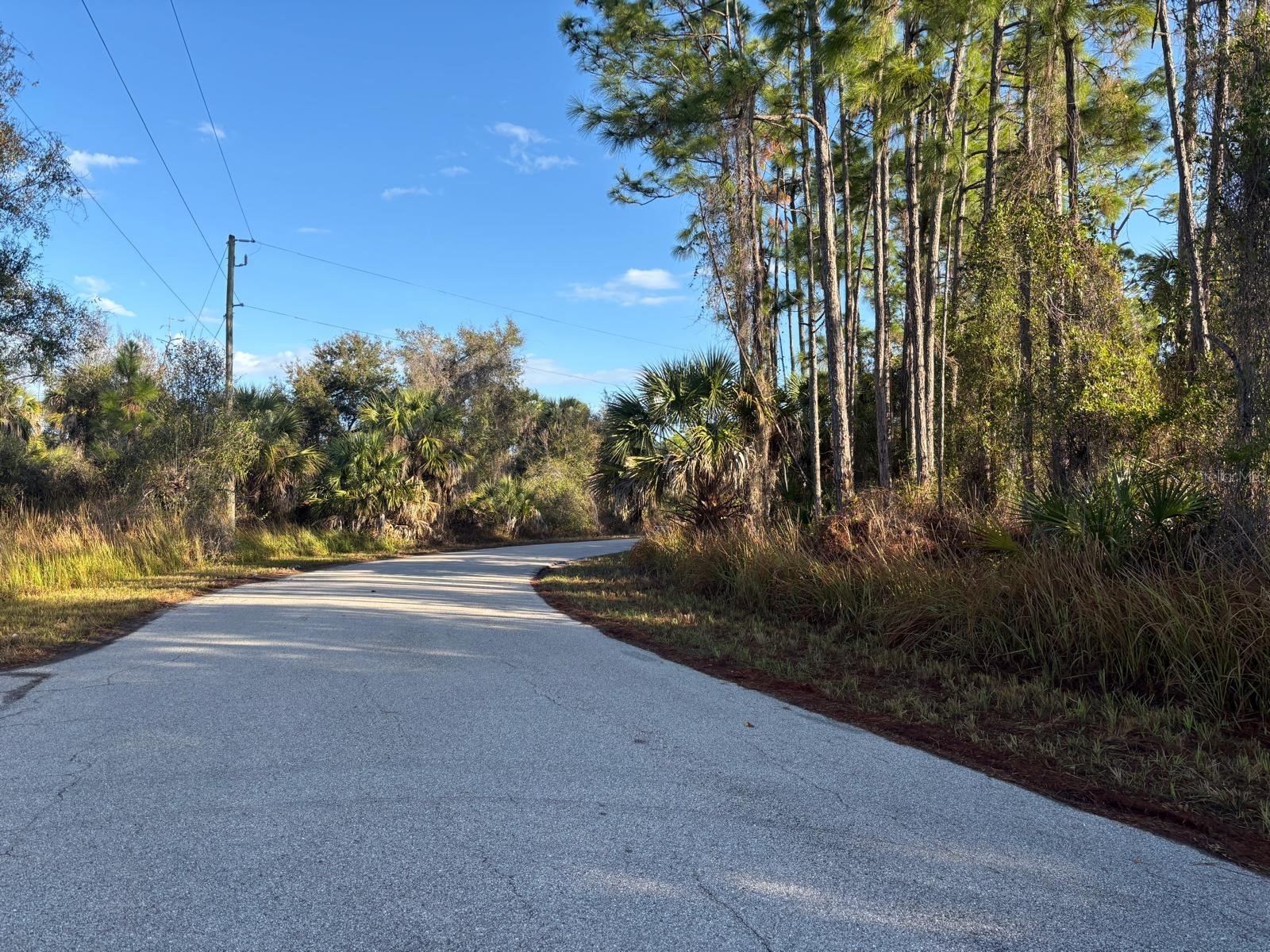 Bismarck Road North Port FL 34288 C7522708 image6