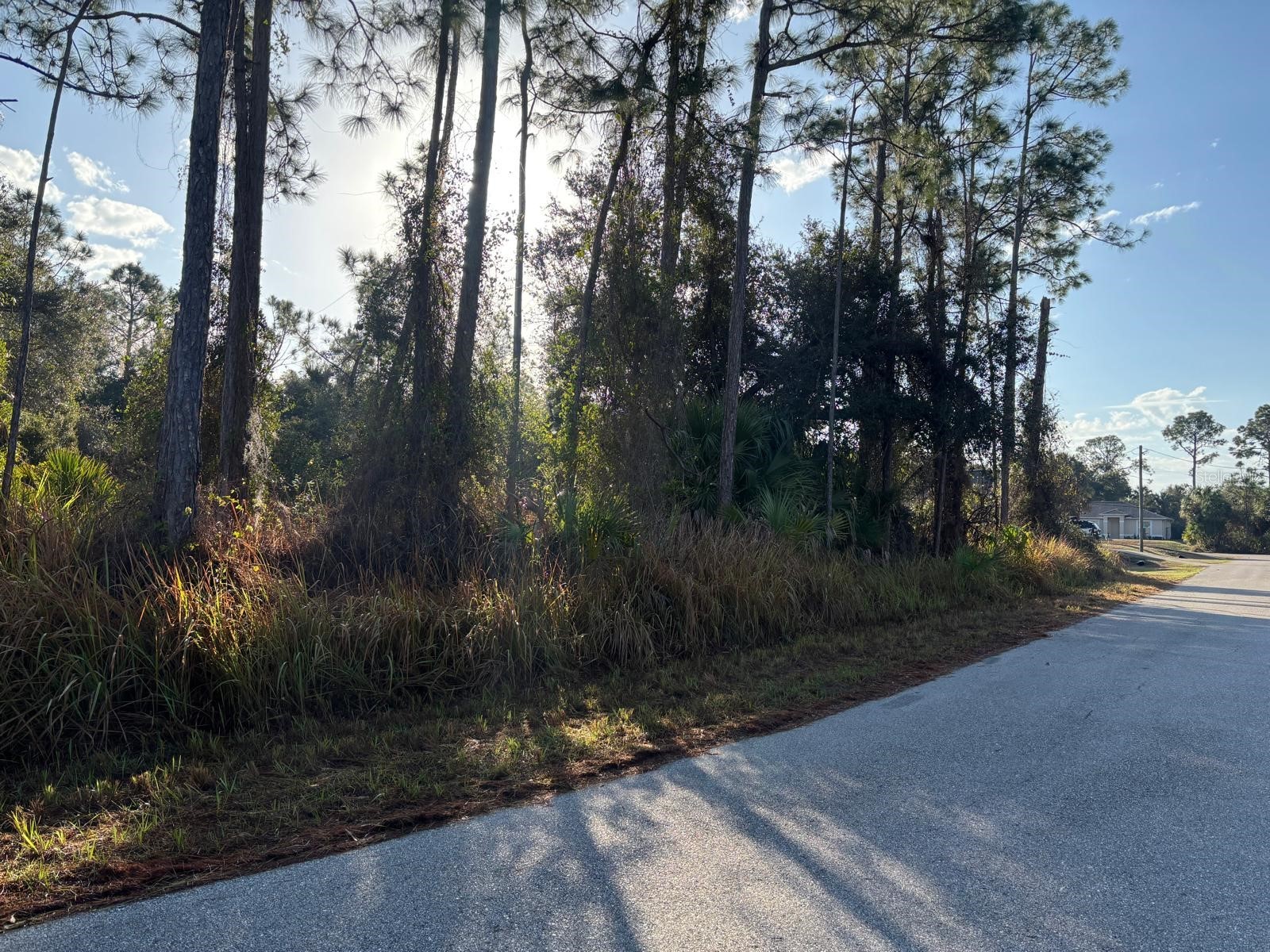 Bismarck Road North Port FL 34288 C7522708 image8