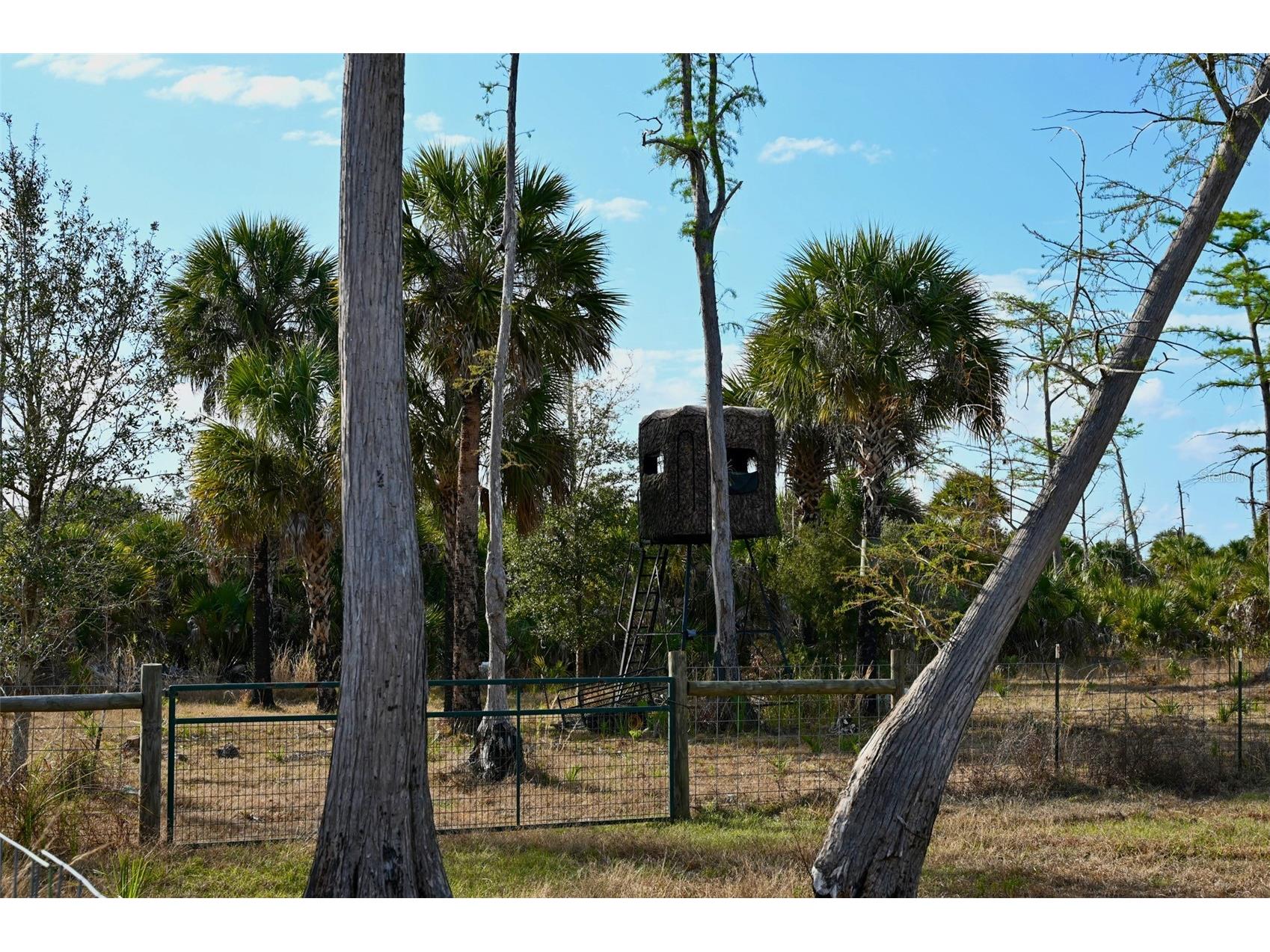 Black Burn Road Naples FL 34117 C7522769 image1