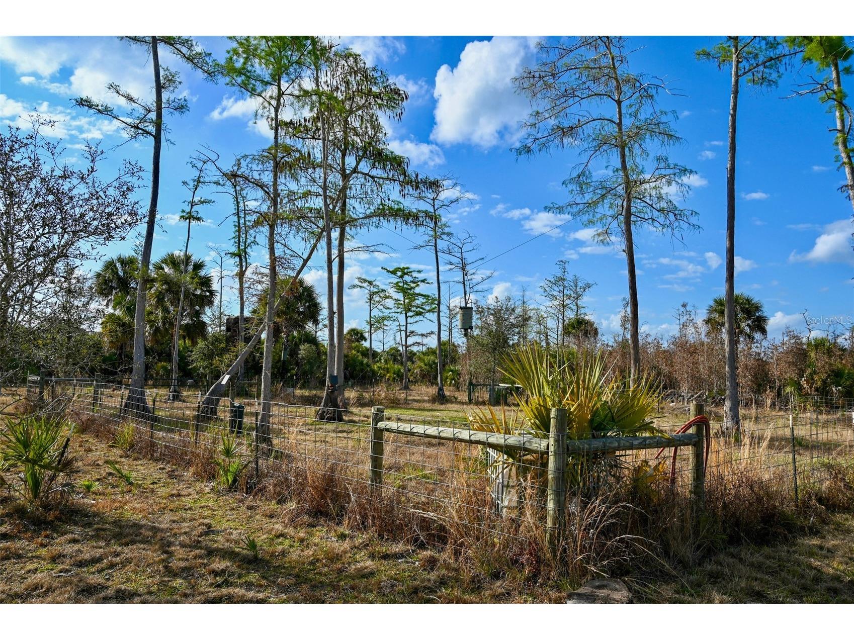 Black Burn Road Naples FL 34117 C7522769 image11