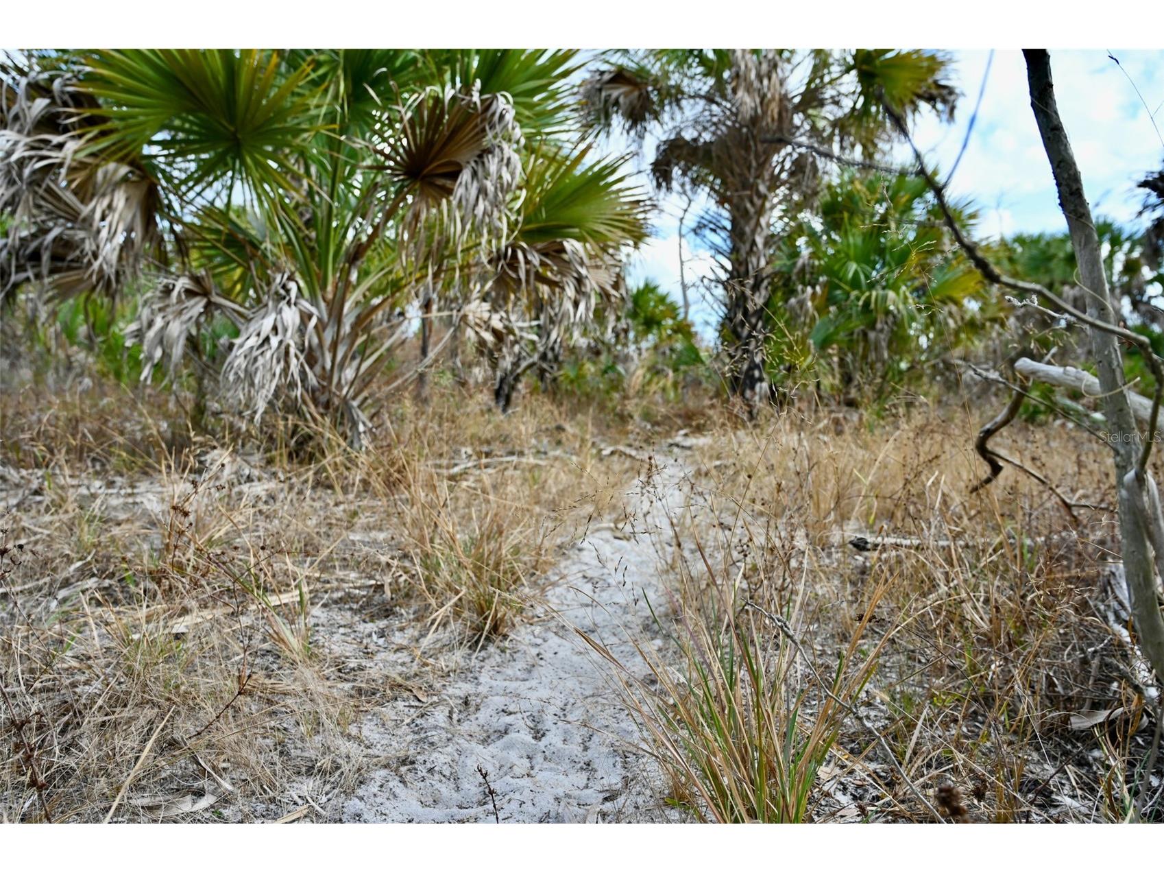 Black Burn Road Naples FL 34117 C7522769 image13