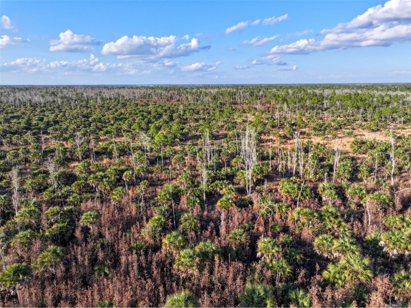 Black Burn Road Naples FL 34117 C7522769 image17