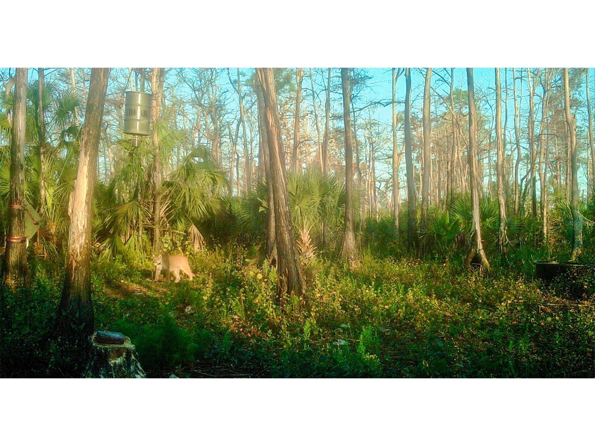 Black Burn Road Naples FL 34117 C7522769 image20