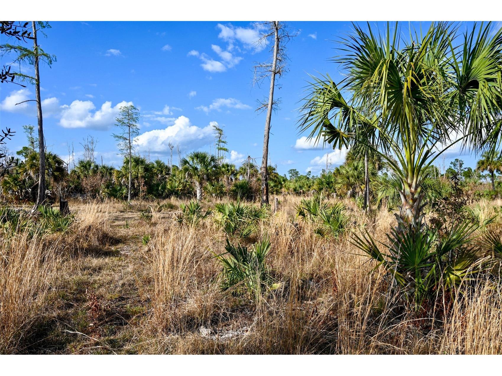 Black Burn Road Naples FL 34117 C7522769 image21